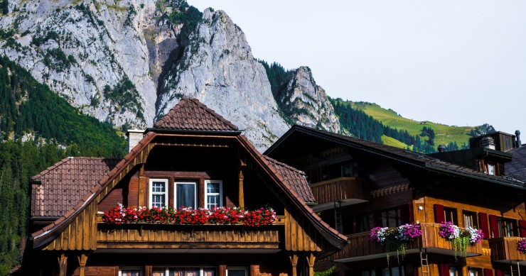 piante resistenti al freddo