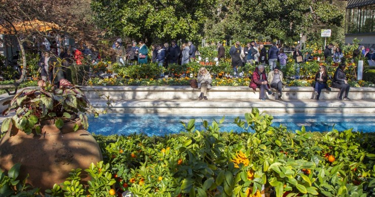 Agrumi a Villa Necchi Campiglio