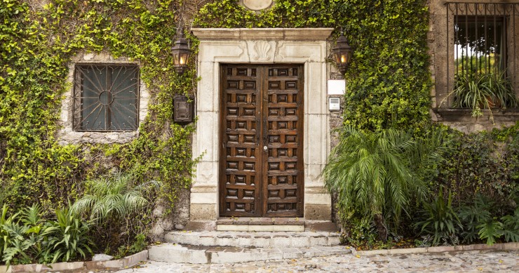 piante per ingresso esterno