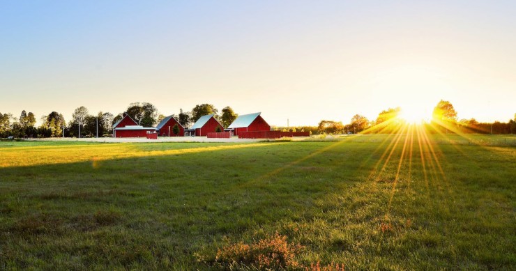 campo agricolo vicino a case