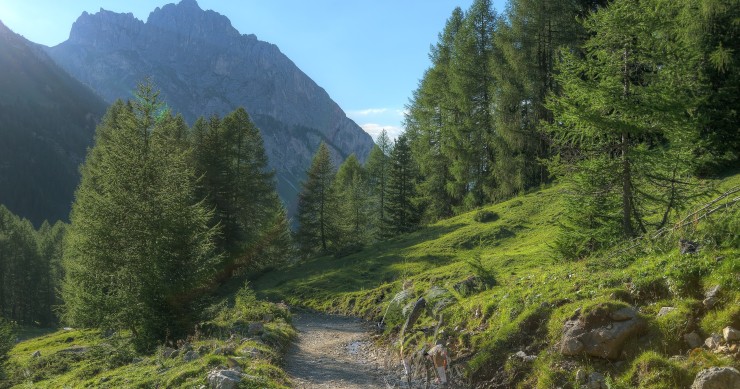 cosa vedere in val contrin