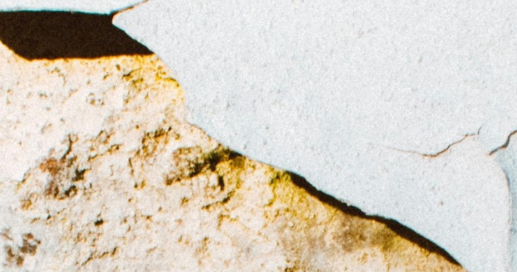 crepe sul muro esterno