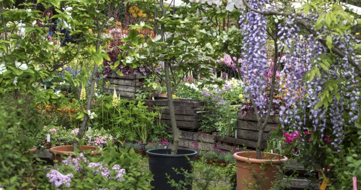 tre giorni per il giardino