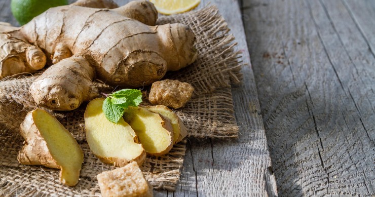 coltivare zenzero in casa