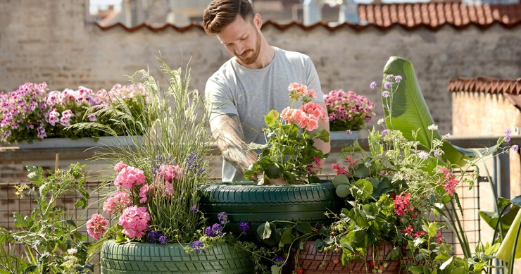 Manutenzione del giardino condominiale