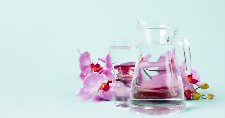 acqua e zucchero orchidee