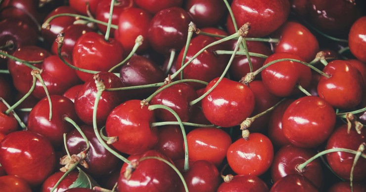 cuscino noccioli ciliegia