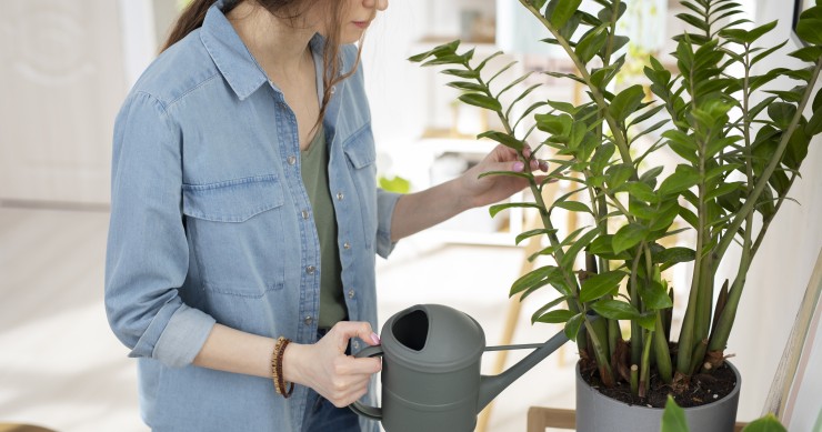 rimuovere cloro acqua innaffiare piante