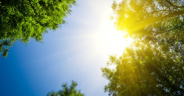 giornata mondiale del sole