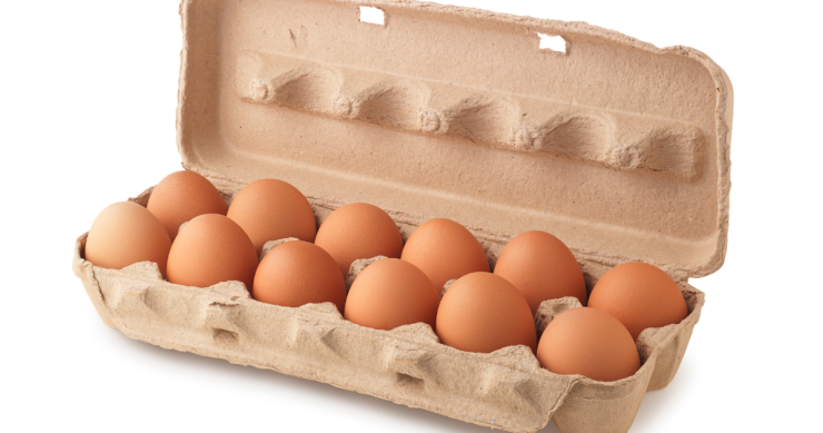 Cartoni delle uova per insonorizzare