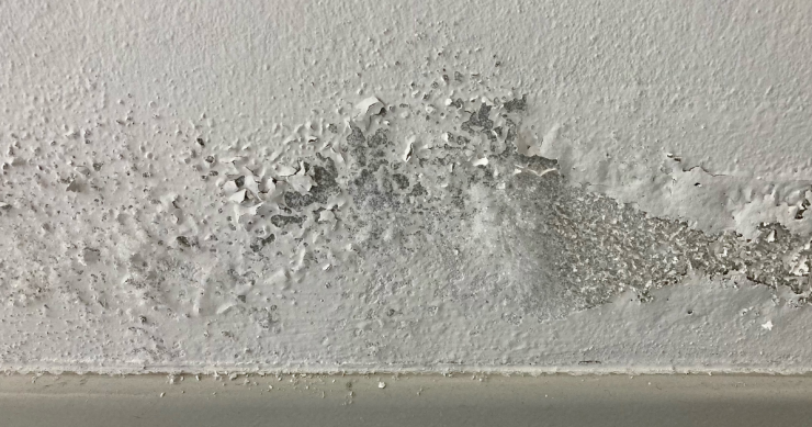 Umidità di risalita