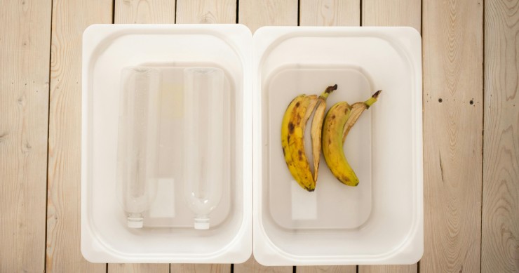 bucce di banane concime