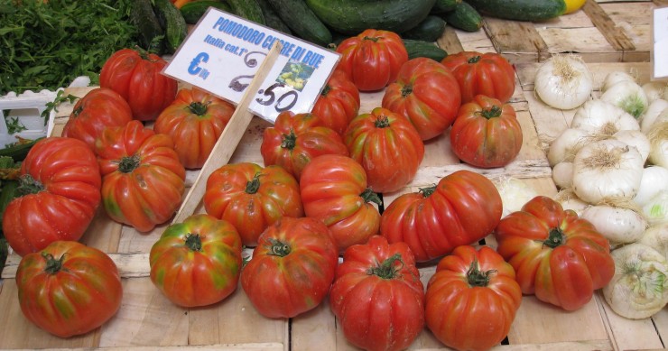 varietà di pomodoro
