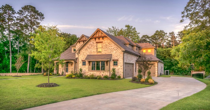 Distanza degli alberi dal confine