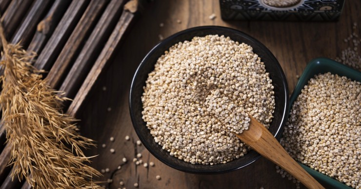 quinoa come si coltiva