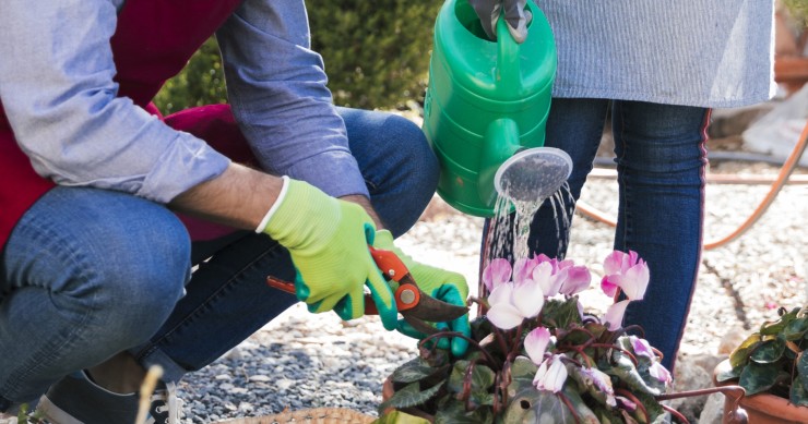 eventi giardinaggio settembre