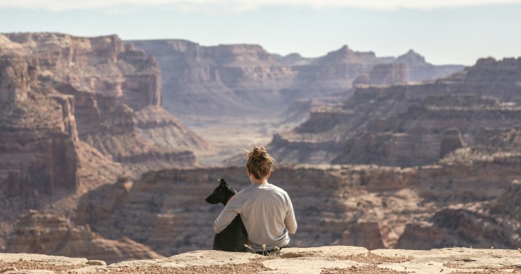 Cosa fare quando muore un cane