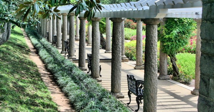 pergola