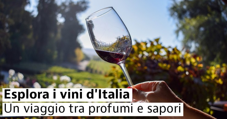 Esplora i vini d'Italia