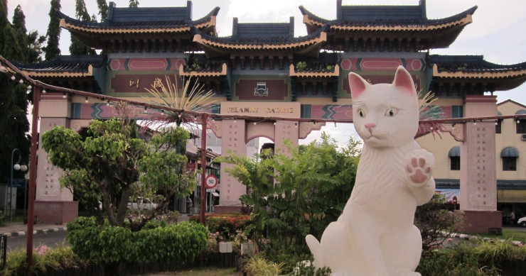 kuching città dei gatti