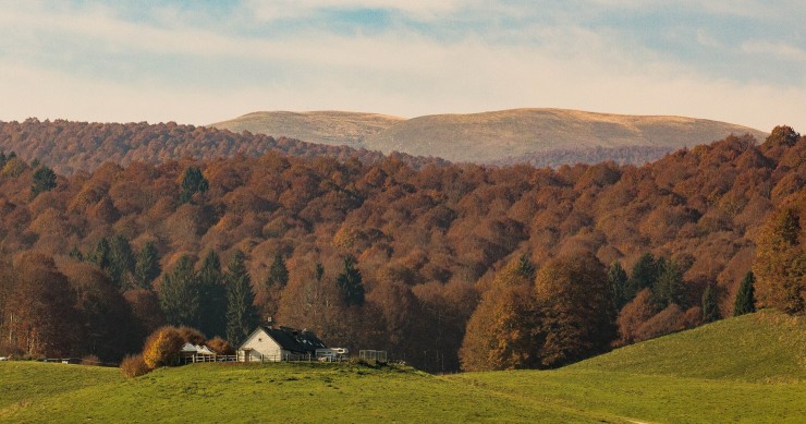 foresta del cansiglio