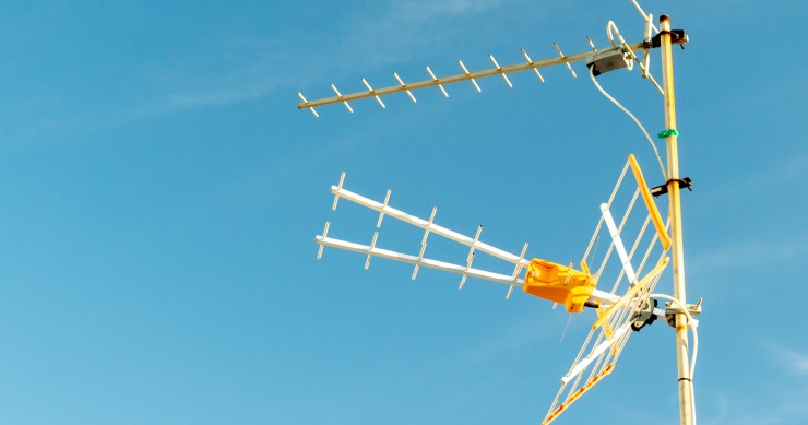 cavo antenna maschio o femmina