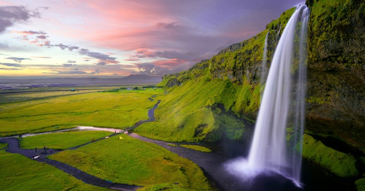 Perché in Islanda non ci sono alberi?