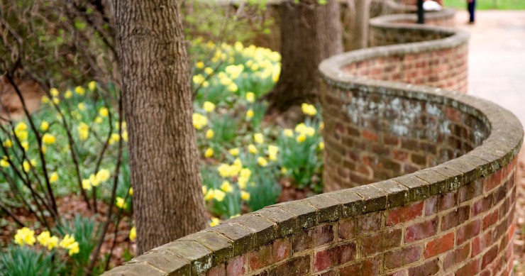 muri crinkle crankle