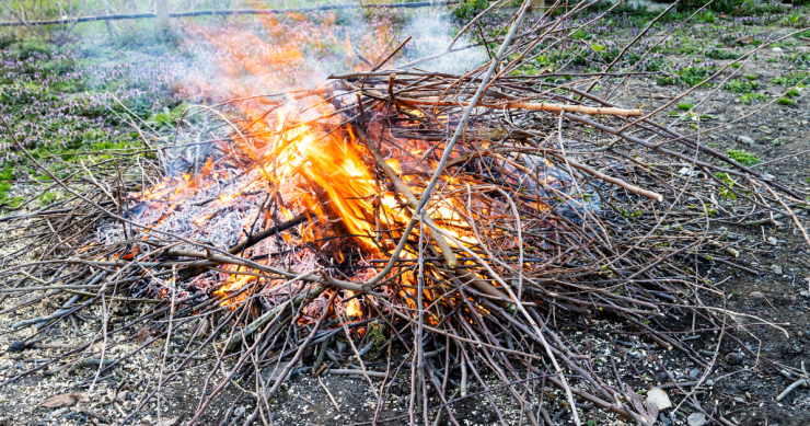 Si possono bruciare sterpaglie nel proprio giardino