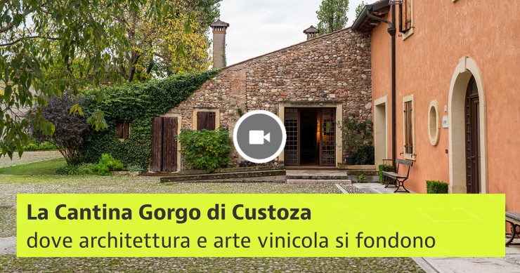 Cantina Gorgo