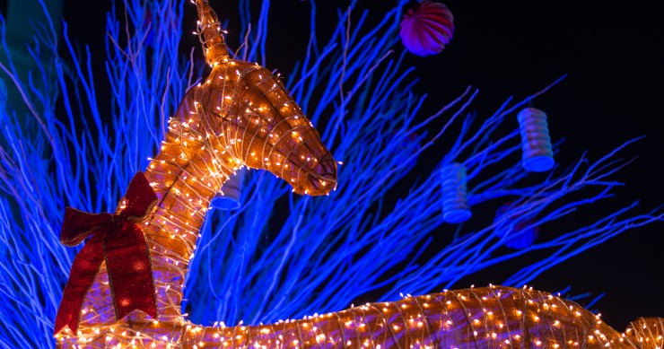 Le più belle luci di Natale in Italia