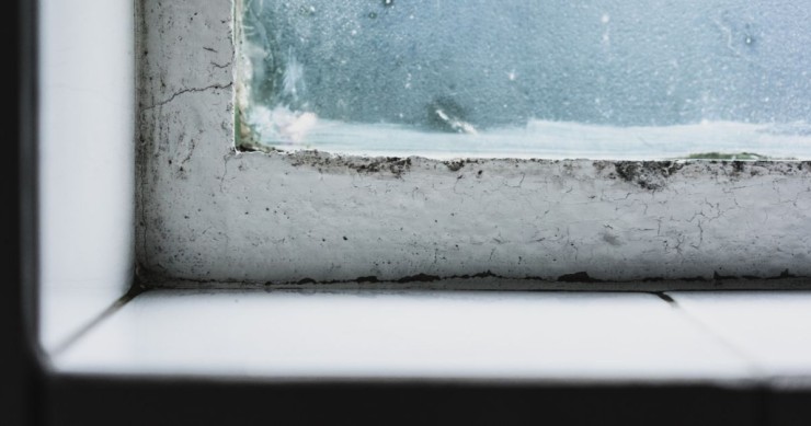 finestra con muffa da condensa