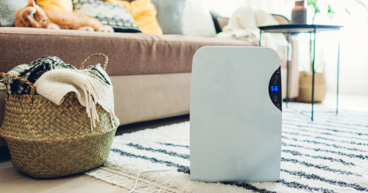 come scegliere il deumidificatore per la casa