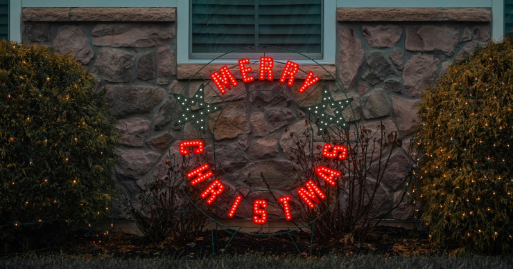 Cosa mettere in giardino a Natale