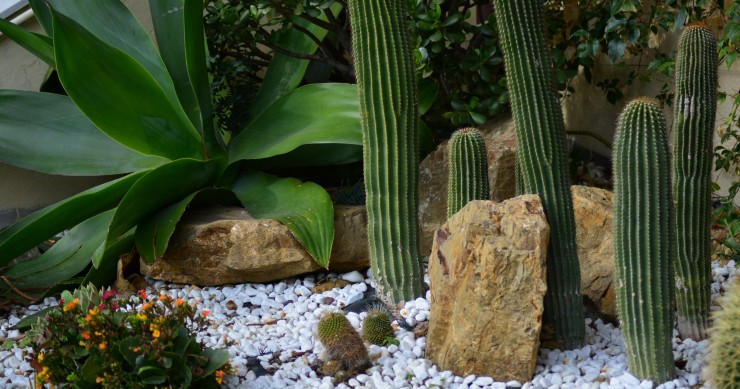 come mantenere i sassi bianchi in giardino