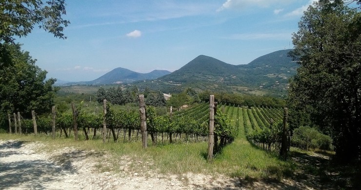 punti panoramici colli euganei