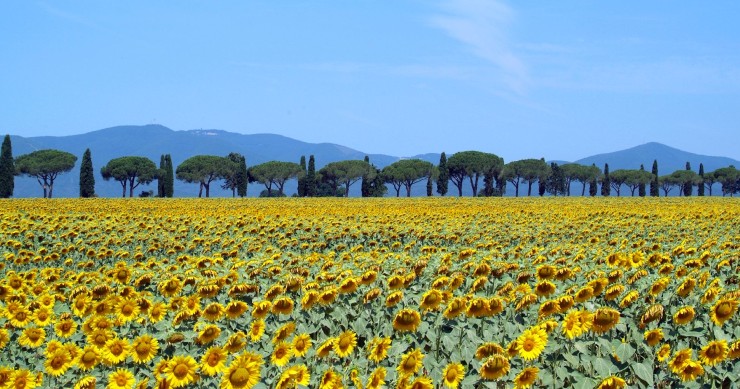 cosa vedere in Maremma