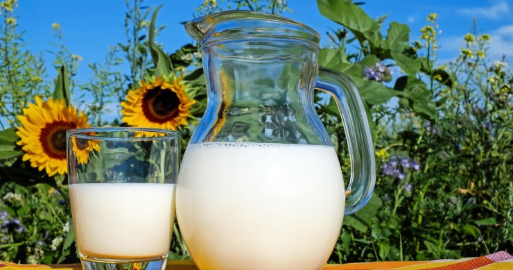 quali piante concimare con il latte