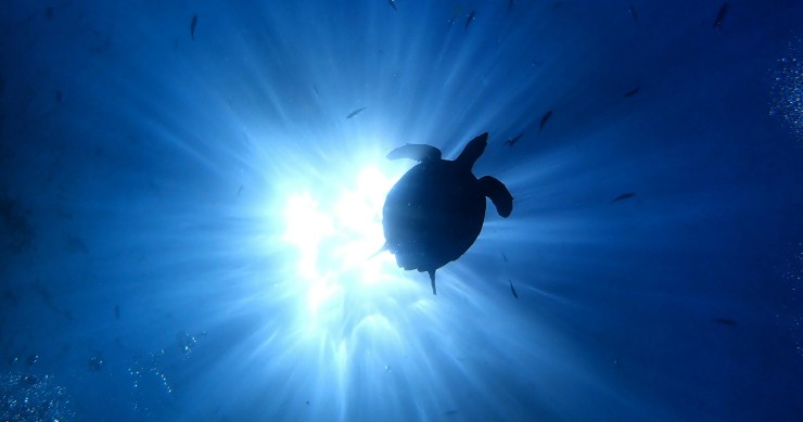 qual è il mare più profondo d'Italia