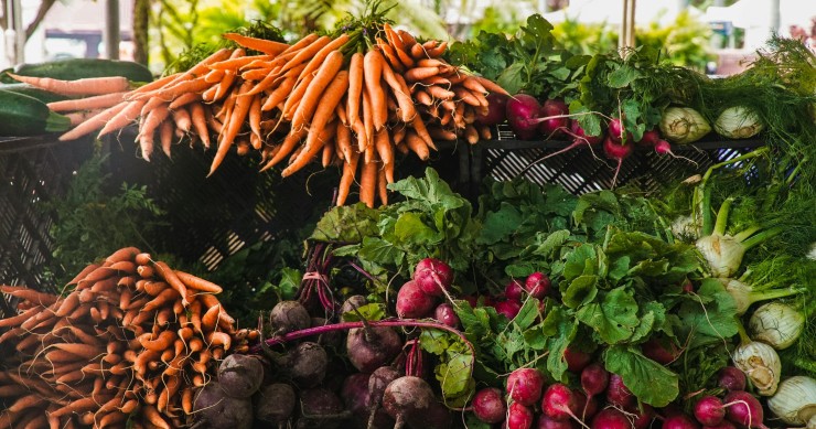 cosa coltivare nell'orto a febbraio