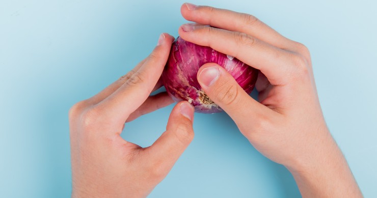 concime con le cipolle