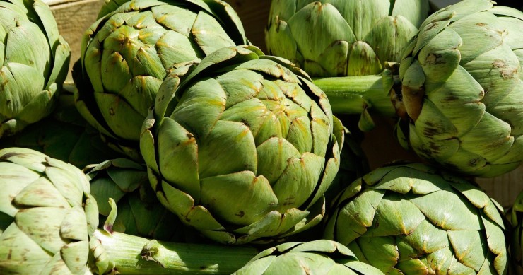 cosa piantare ad aprile nell'orto