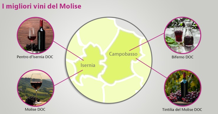 migliori vini molisani