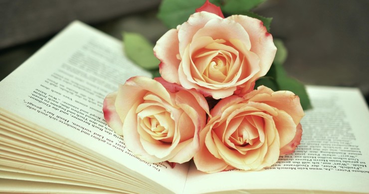 giornata del libro 2025