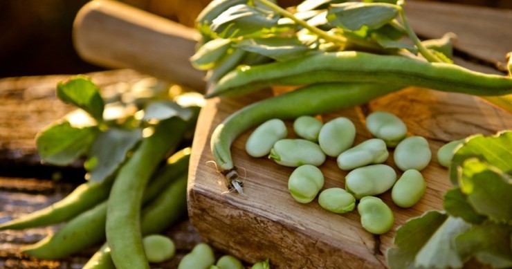 sagra dei piselli e fave di montegiordano