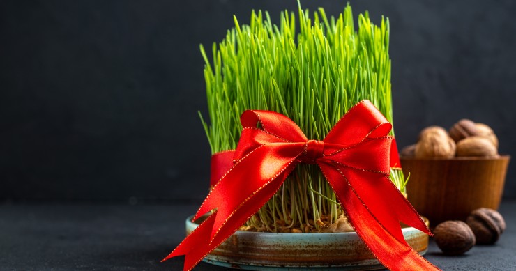 come decorare il grano per pasqua 
