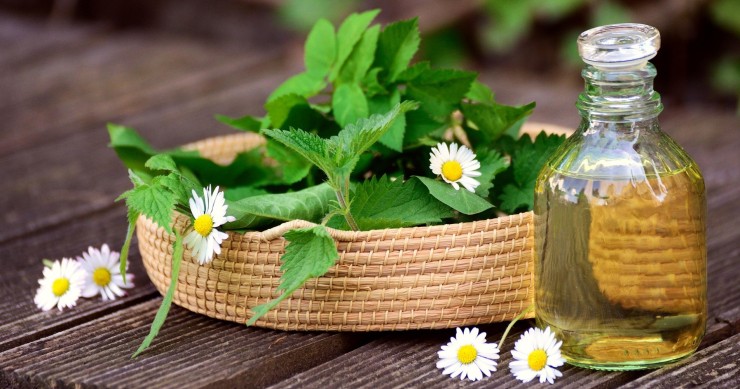 ortiche antiparassitario per piante