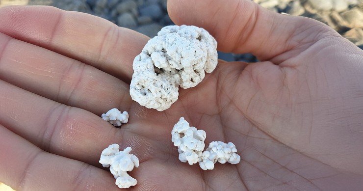 spiaggia pop corn fuerteventura