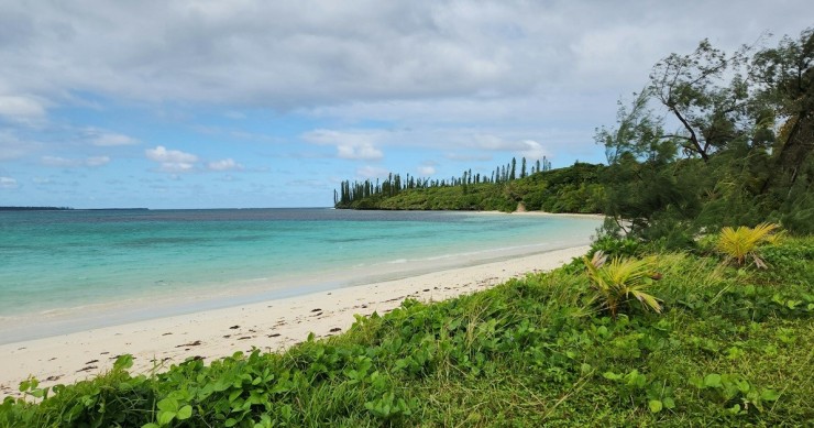 l'Isola dei Pini, in Nuova Caledonia