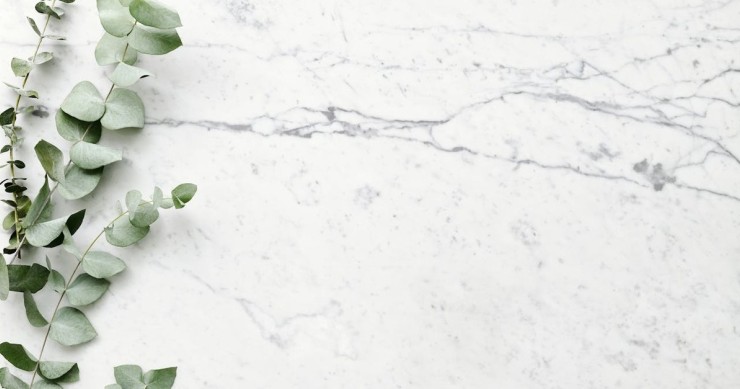 Il marmo bianco di Carrara con venature più scure